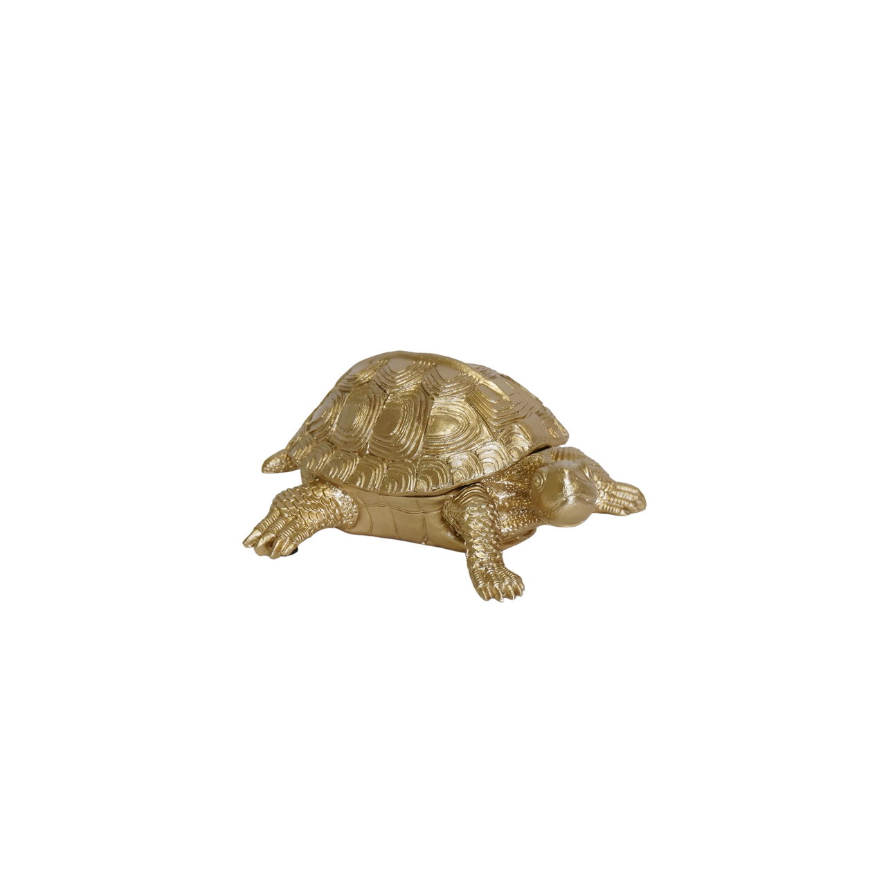 Tortuga Object Box