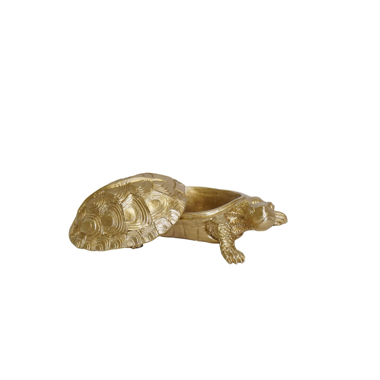 Tortuga Object Box