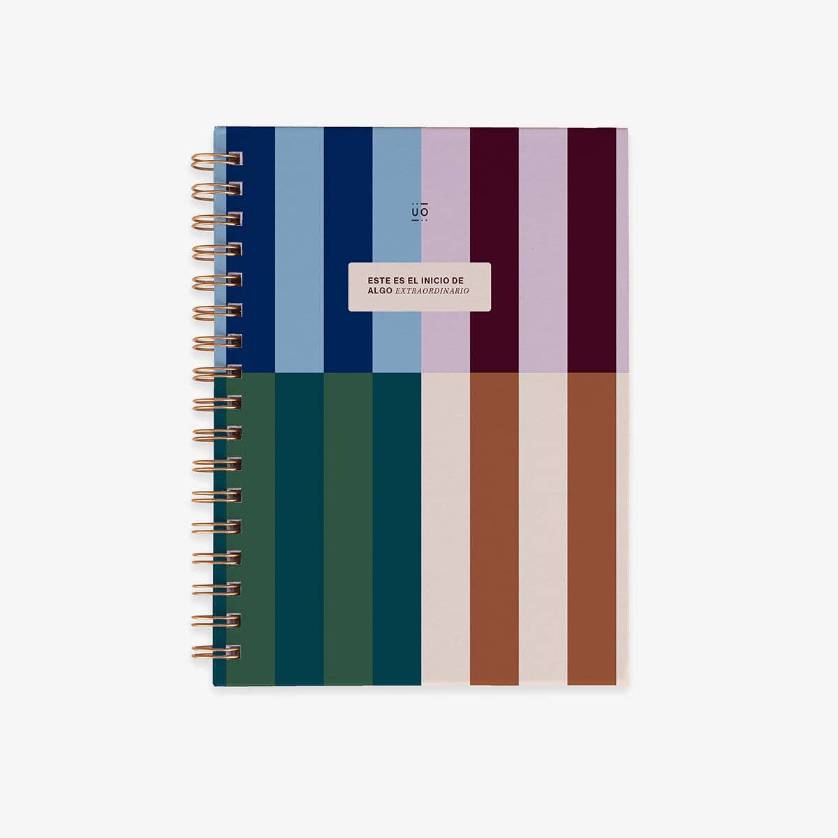 Extraordinary Beginning Notebook